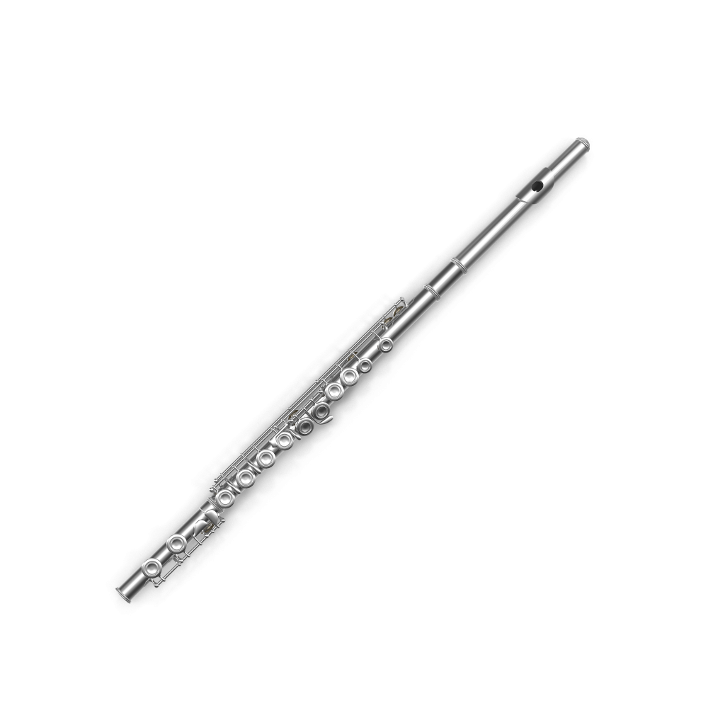 Флаута – Музичка школа 